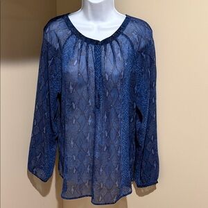 Banana Republic Navy Sheer Blouse